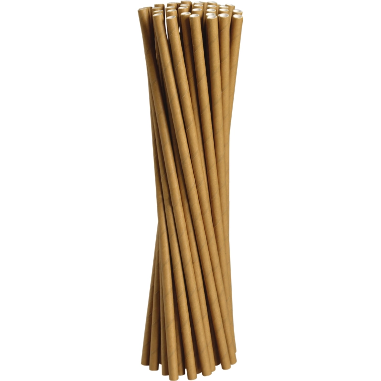 ABENA GASTRO paperipilli 25 cm Ø6 mm 250 kpl
