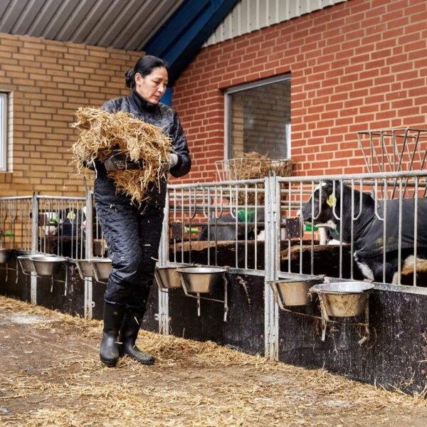 ELKA Naisten lämpöhousut - Image 4