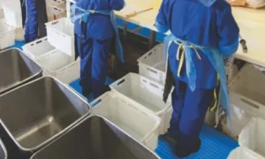 Ergonomia- ja Työpistematot