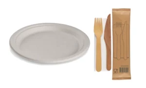 Kertakäyttöastiat